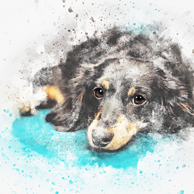 Lazy Dog Painting