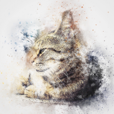 Little kitty Painting